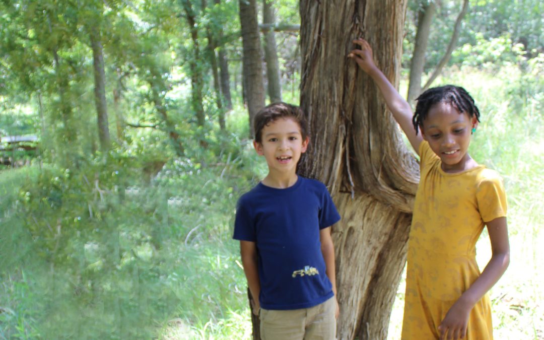 The Brave Heart Tree